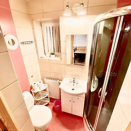 Apartamenty Nad Dunajcem Kolo Zakopanego Білий Дунаєць Екстер'єр фото