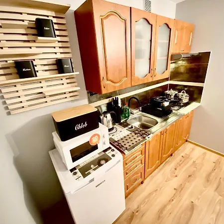 Apartamenty Nad Dunajcem Kolo Zakopanego Білий Дунаєць Екстер'єр фото
